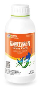 草鯽五病消